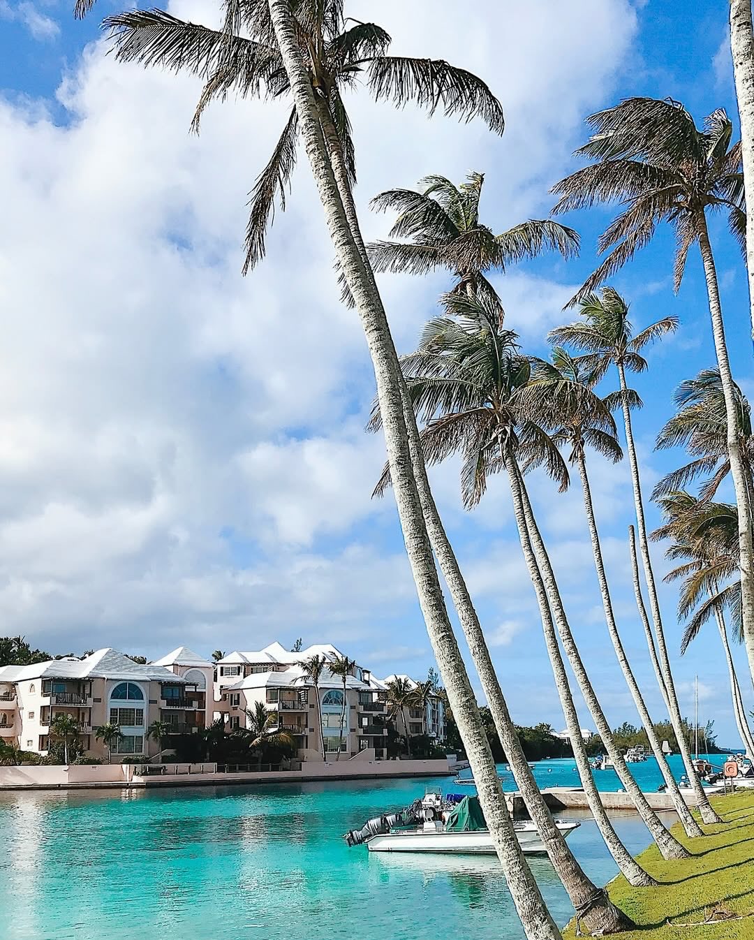 Palm trees beside a waterside Bermuda resort